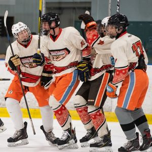Image post by @esehockey on Instagram