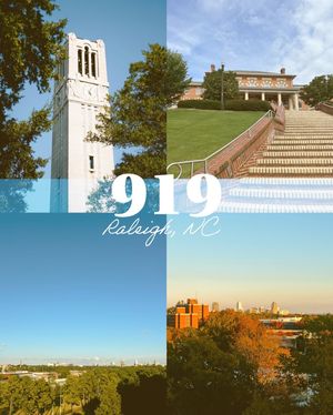 Image post by @ncstatecommdept on Instagram