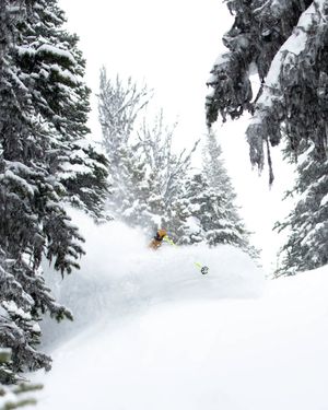 Image post by @whistlerblackcomb on Instagram