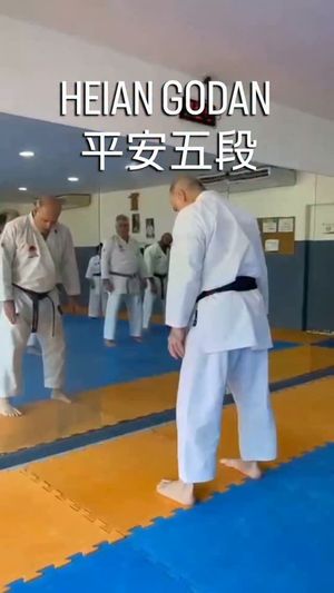 Video post by @karate.pestana.jka on Instagram