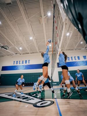 Image post by @greenwavevb on Instagram