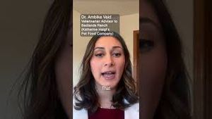 Video post by @yourtango on YouTube