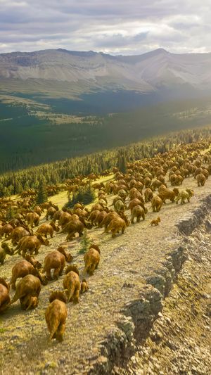 Video post by @bbcearth on Instagram