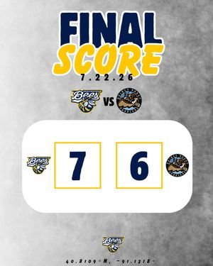 Image post by @burlington_bees on Instagram