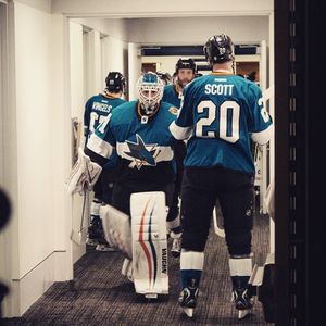 Image post by @sanjosesharks on Instagram