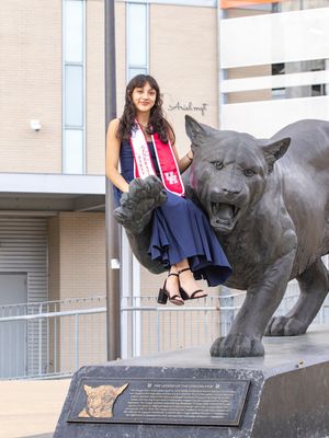 Image post by @amqt.photo on Instagram