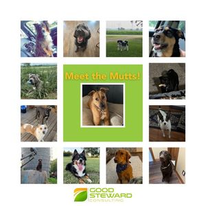 Image post by @GoodStewardConsulting on Facebook