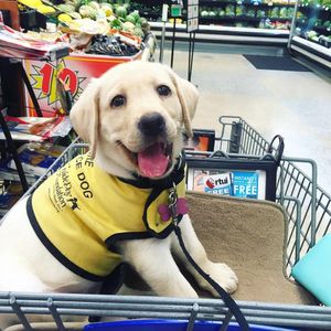 Image post by @krogerco on Instagram