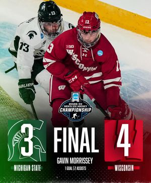 Image post by @rollbadgers on Instagram