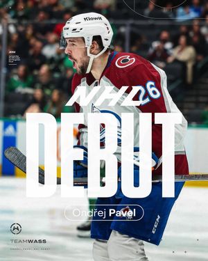 Image post by @the.team.hockey on Instagram