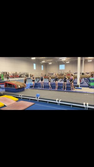 Video post by @avery.neff on Instagram
