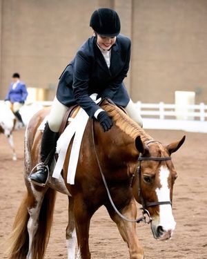 Image post by @american_royal on Instagram