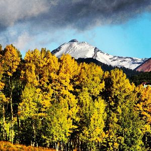 Image post by @skicrestedbutte on Instagram