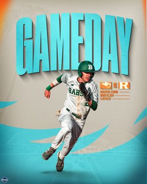 Image post by @babsonbaseball on Instagram