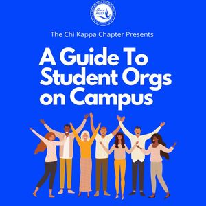 Image post by @mizzouzetas on Instagram