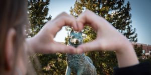 Image post by @UConn on Twitter