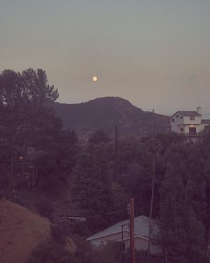 Image post by @tyriswiththecamera on Instagram