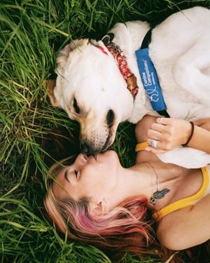 Image post by @canineorg on Instagram
