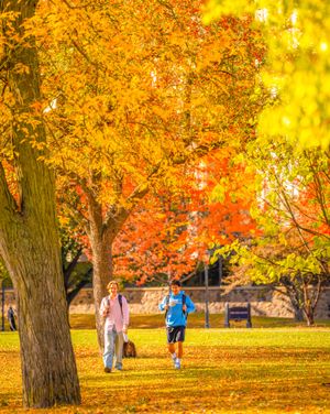 Image post by @marquetteu on Instagram