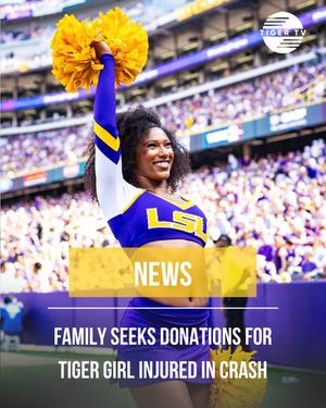 Image post by @lsutigertv on Instagram