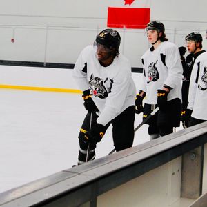 Image post by @Chicago_Wolves on Twitter