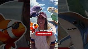 Video post by @teamusa on YouTube