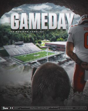 Image post by @MercerFootball on Twitter