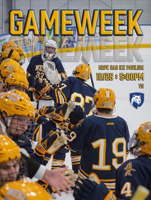 Image post by @wvuhockeyd4 on Instagram