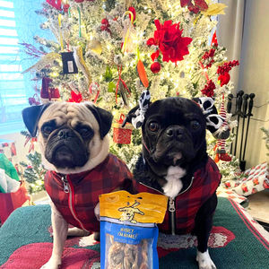 Image post by @honeyimhome on Instagram
