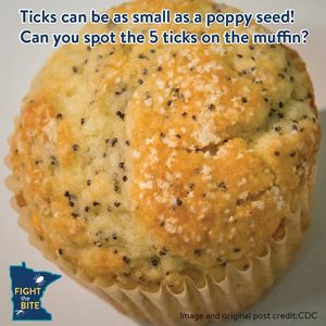 Image post by @mnhealth on Facebook