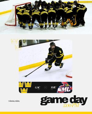 Image post by @gustiewhockey on Instagram