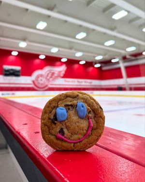 Image post by @hockeytowncares on Instagram