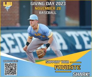 Image post by @liubaseball on Instagram