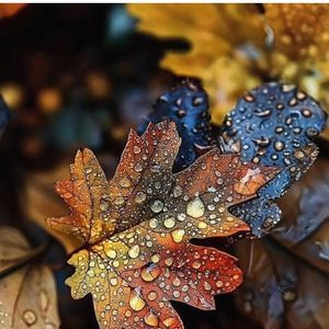 Image post by @burcutuncel on Instagram