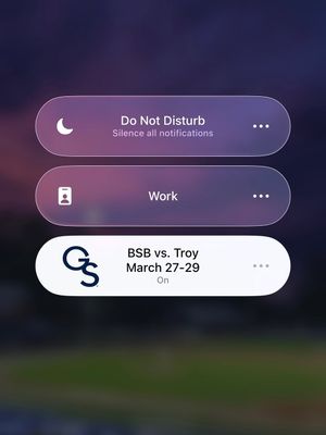 Image post by @gsathletics_bsb on Instagram