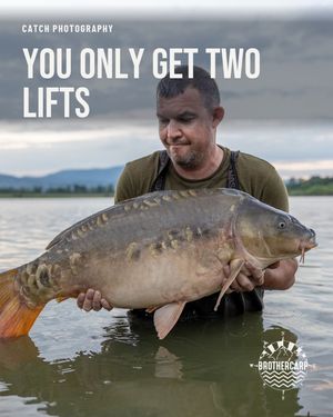 Image post by @brothercarp on Instagram