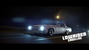 Video post by @julientecherlachenille974 on YouTube