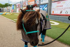 Image post by @madisonnightmares on Instagram