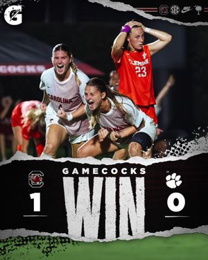 Image post by @gamecockwsoccer on Instagram