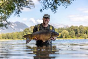 Image post by @brothercarp on Instagram