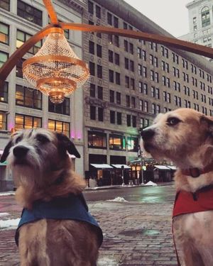 Image post by @playhousesquare on Instagram