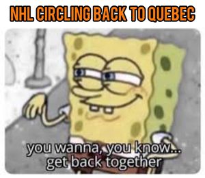 Image post by @hockeyfights on Instagram