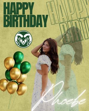Image post by @csucheerleading on Instagram