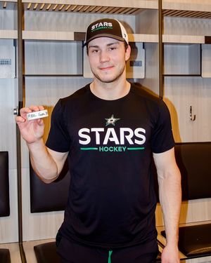 Image post by @theahl on Instagram