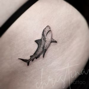Image post by @christina.lineartattoo on Instagram