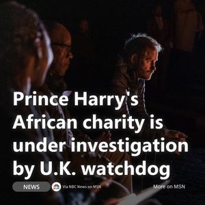 Image post by @msn on Instagram