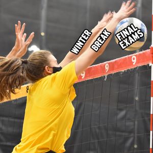 Image post by @towsontigersvb on Instagram