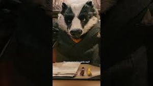 Video post by @peacock on YouTube