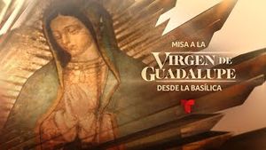 Video post by @telemundo on YouTube