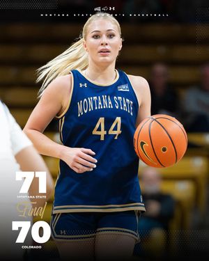 Image post by @msubobcatswbb on Instagram